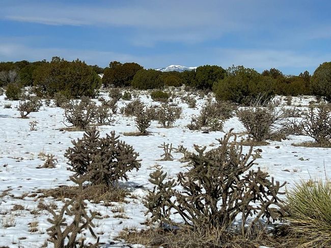 28 Turkey Ridge Rd, Home with 0 bedrooms, 0 bathrooms and null parking in Walsenburg CO | Image 22