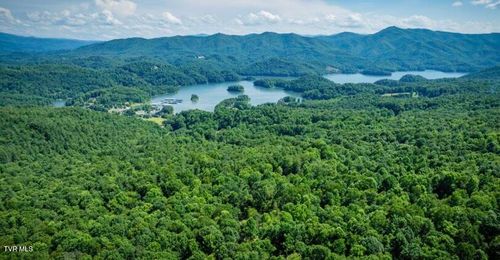 Tbd Black Bear Dr, Butler, TN, 37640 | Card Image
