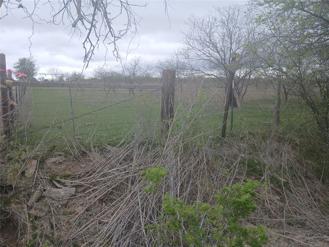 1753 Hcr 3242, Home with 0 bedrooms, 0 bathrooms and null parking in Mount Calm TX | Image 8
