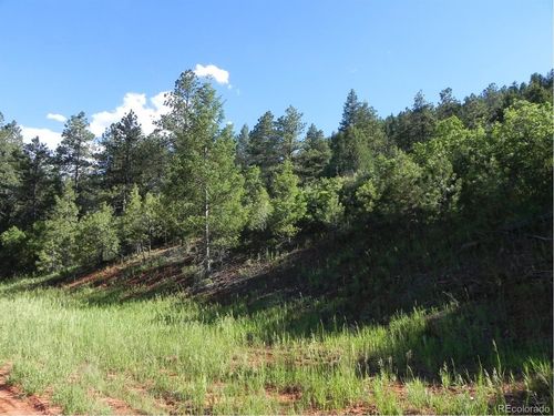 8117 Acoma Dr, Larkspur, CO, 80118 | Card Image