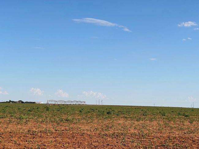 0 Dove, Home with 0 bedrooms, 0 bathrooms and null parking in Ropesville TX | Image 12