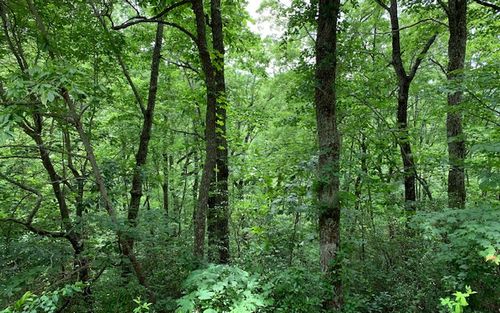 LOT 50A Eagles View, Hayesville, NC, 28904 | Card Image