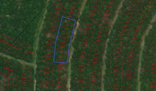 TBD Wood Frst, Livingston, TX, 77351 | Card Image