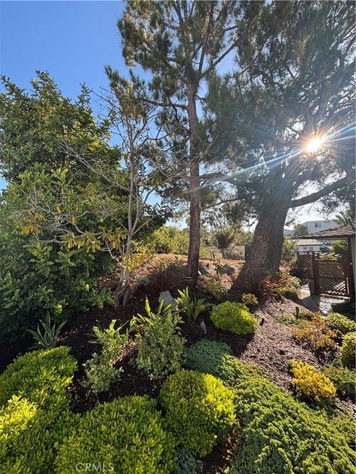 33842 Barcelona Place, Dana Point, CA, 92629 | Card Image