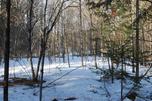 99 Future Lane, Marmora, ON, K0K2M0 | Card Image