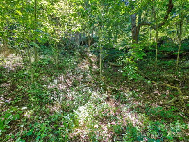 00 Yellow Locust Dr, Home with 0 bedrooms, 0 bathrooms and null parking in Waynesville NC | Image 10