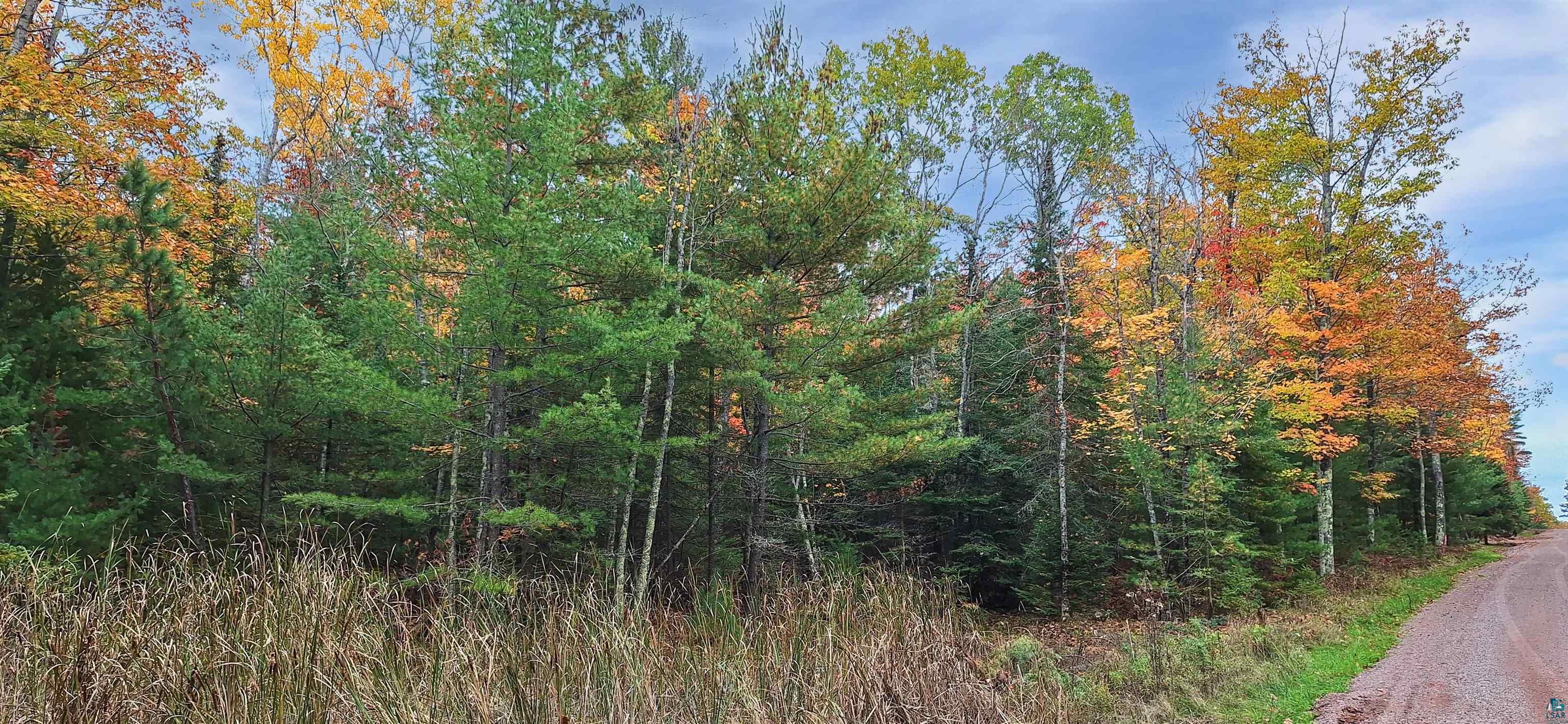 Land in LaPointe 4