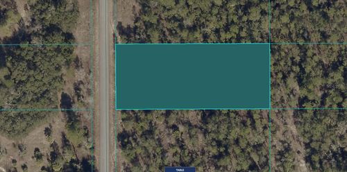 1811-016-025 Sw Little Cliffs Drive, Dunnellon, FL, 34431 | Card Image
