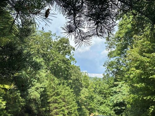 257 Andes Rdg, Ellijay, GA, 30536 | Card Image