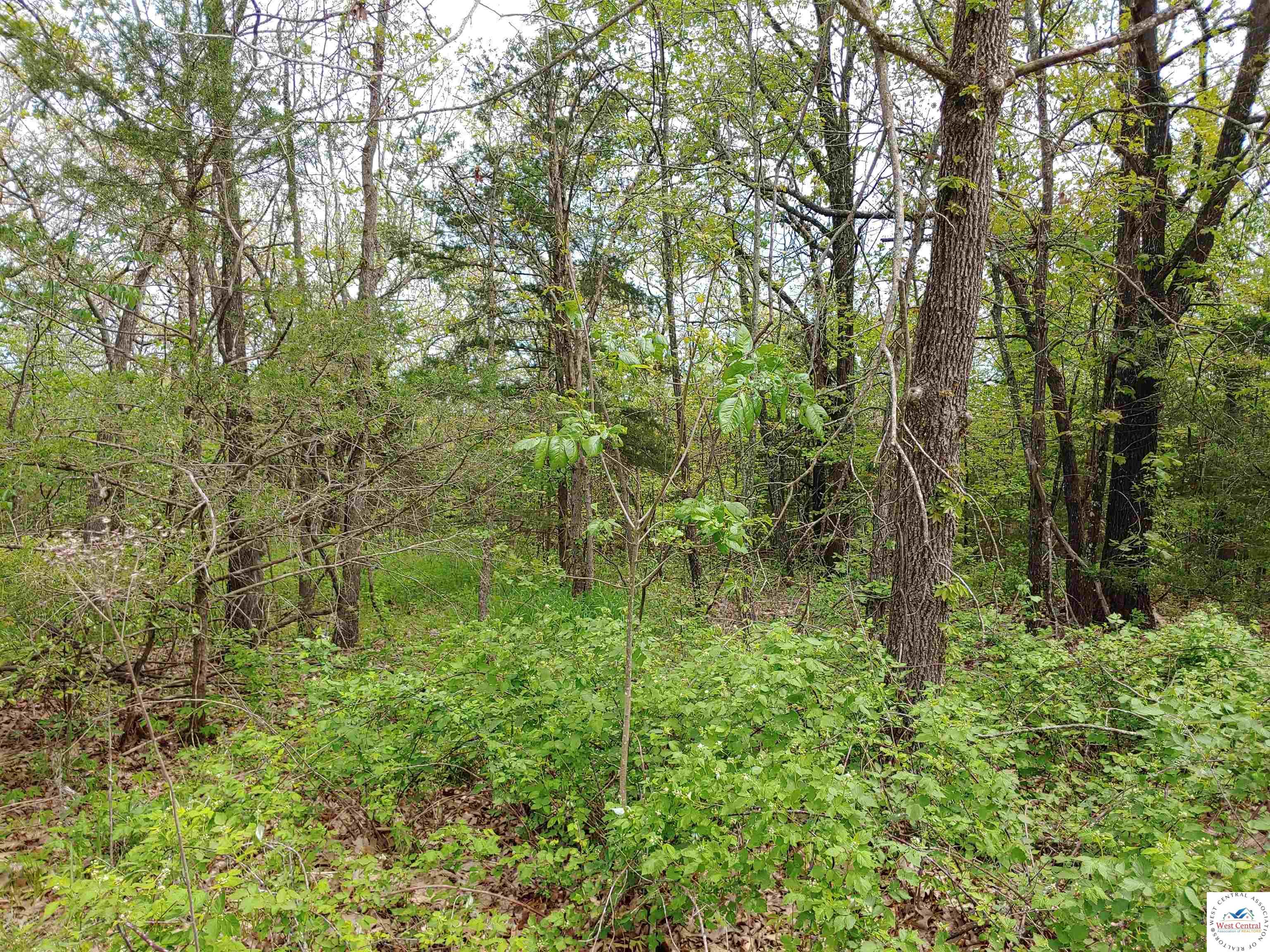 Land in Hermitage 5