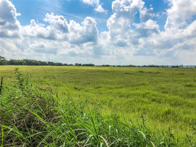 12328 Fm 1383, Home with 0 bedrooms, 0 bathrooms and null parking in Schulenburg TX | Image 5