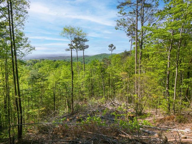 Lot 73 Mountain View Rd, Home with 0 bedrooms, 0 bathrooms and null parking in Ellijay GA | Image 4