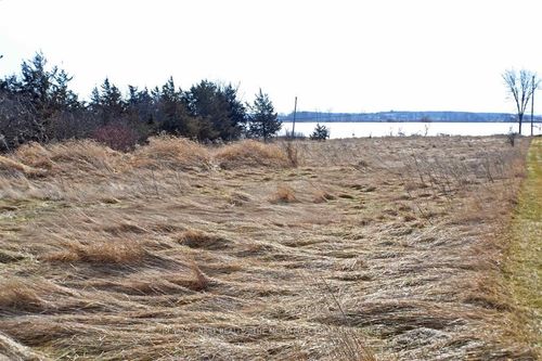 Near 24 Sherman'S Point Rd, Greater Napanee, ON, K7R3K8 | Card Image