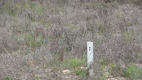 22823 Cherry Rock, Elmendorf, TX, 78112 | Card Image