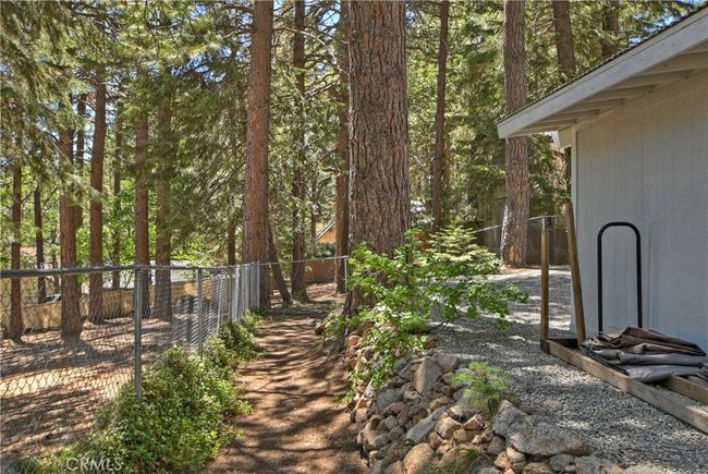 Back Of Yard | Image 28