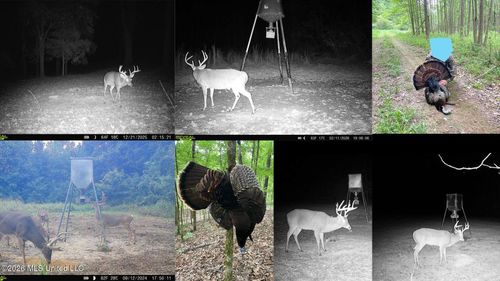 2484 Freeman Road, Fayette, MS, 39069 | Card Image