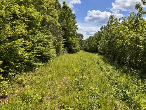0 Dude Road, Savannah, TN, 38372 | Card Image