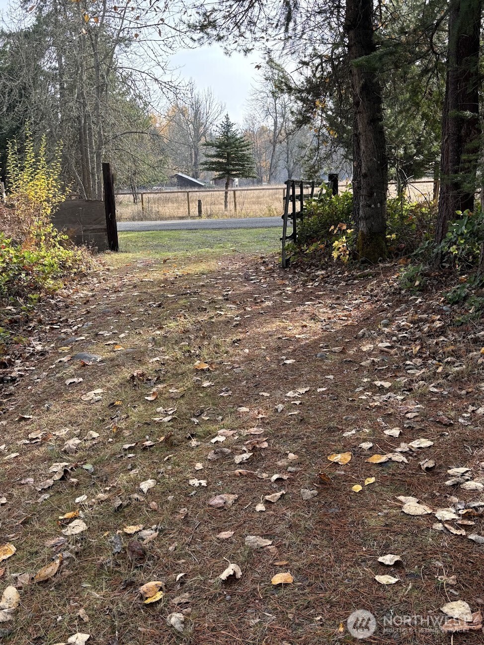Land in Yelm 2