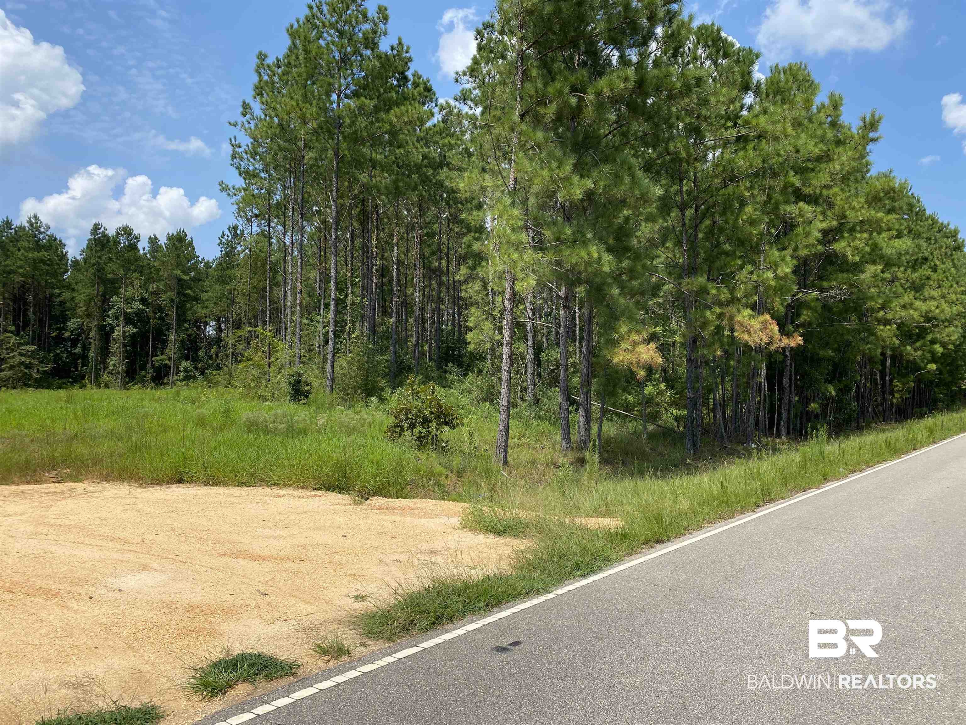 Land in Atmore 2