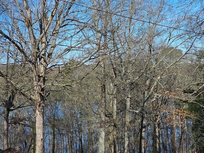 8 Kittiwake Pl Nw, Home with 0 bedrooms, 0 bathrooms and null parking in Georgetown TN | Image 5