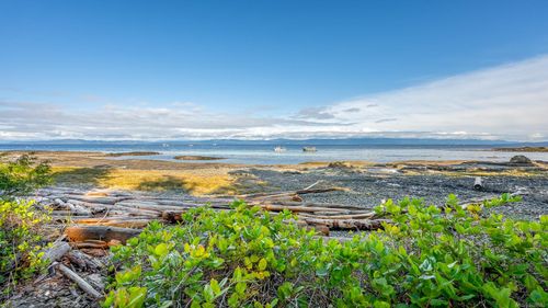 2450 Clamshell Pl, Hornby Island, BC, V0R1Z0 | Card Image