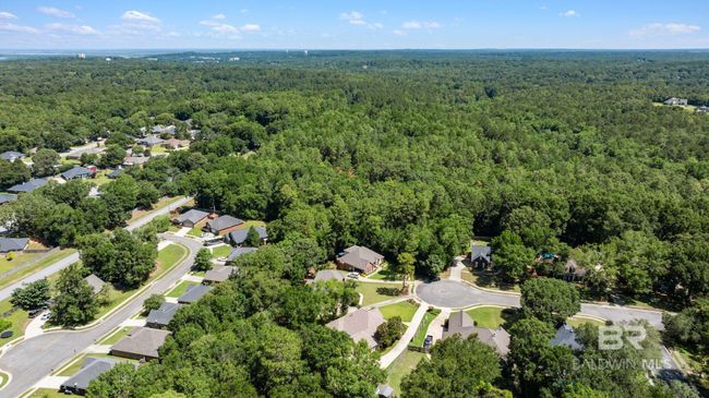 Aerial View | Image 58