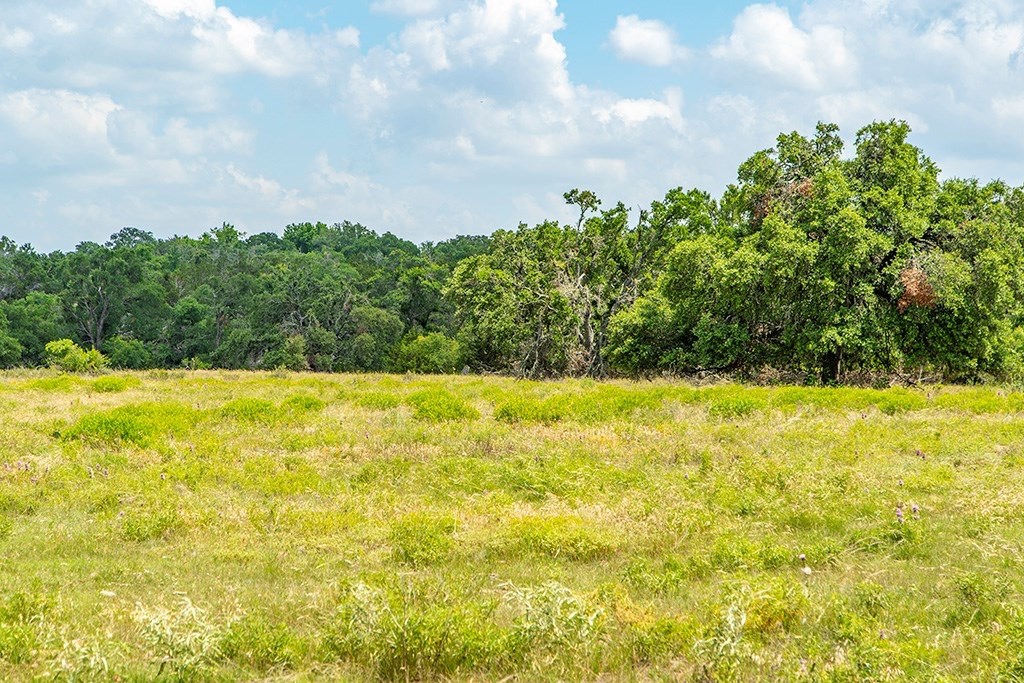 Land in Harper 5