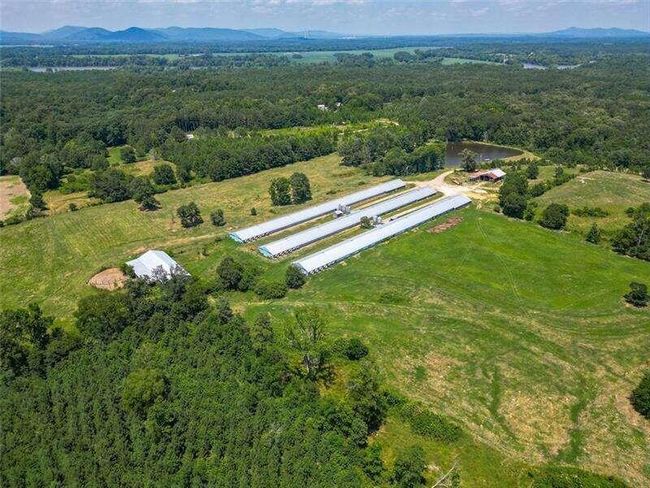 204 George Rd Sw, Home with 0 bedrooms, 0 bathrooms and null parking in Cave Spring GA | Image 6