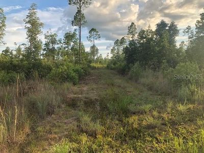 0 Ne 212 St Rd, Home with 0 bedrooms, 0 bathrooms and null parking in Fort Mc Coy FL | Image 2