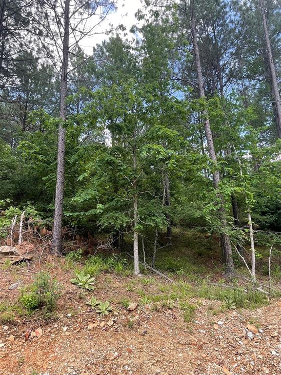 Land in Broken Bow
