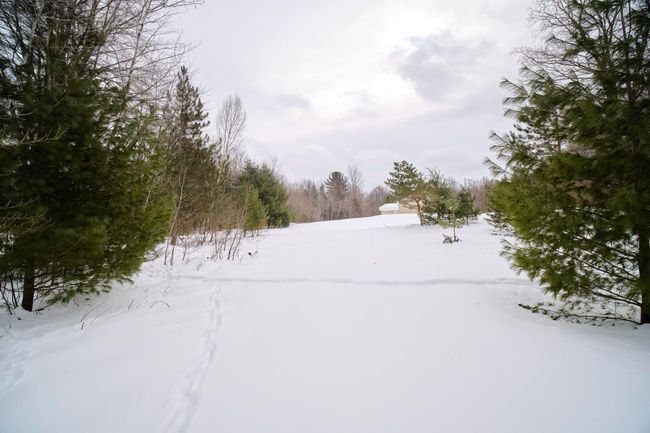 Property views | Image 7