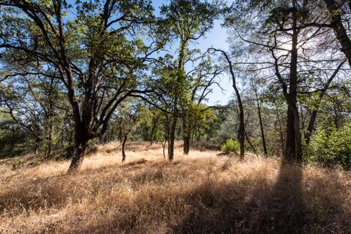 1031 Trails End Dr, Placerville, CA, 95667-9338 | Card Image