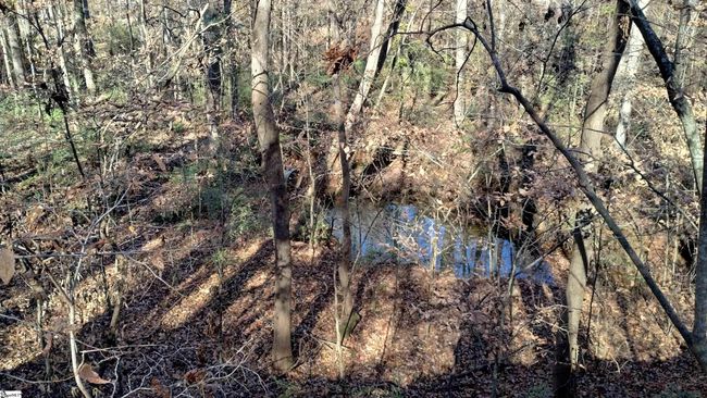 00A Sullivan Rd, Home with 0 bedrooms, 0 bathrooms and null parking in Laurens SC | Image 10