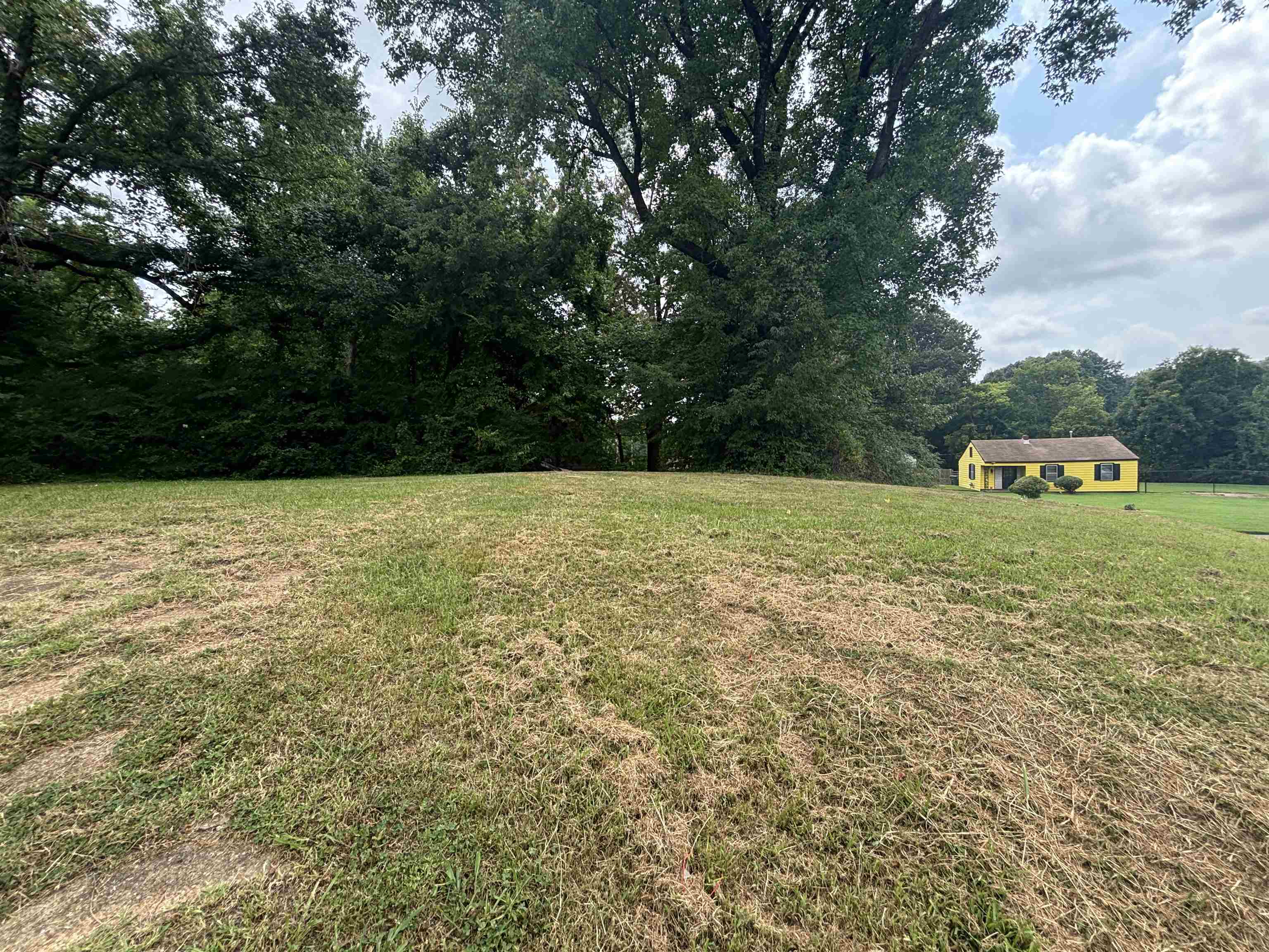 Land in Memphis 2