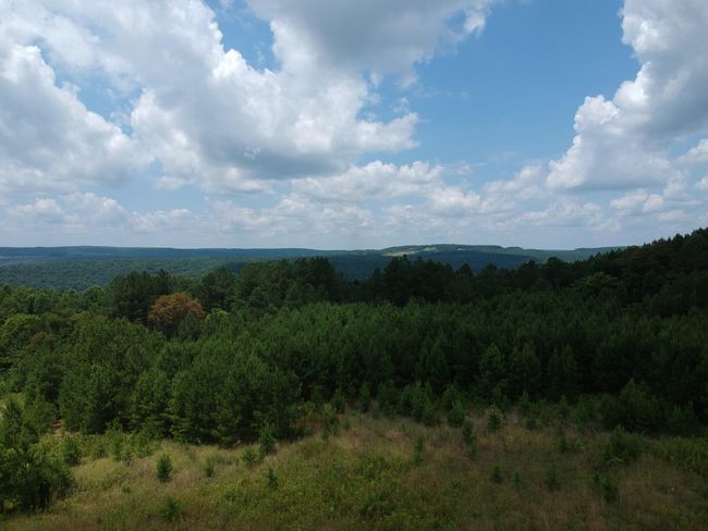 5199 Burkett Chapel Rd, Home with 4 bedrooms, 2 bathrooms and null parking in Whitwell TN | Image 10