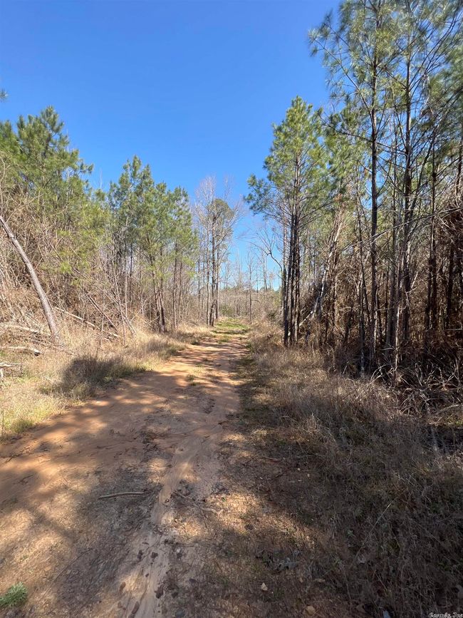 00 Nevada County 175 Road, Home with 0 bedrooms, 0 bathrooms and null parking in Rosston AR | Image 15