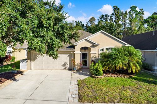 29241 Yarrow Dr, WESLEY CHAPEL, FL, 33543-6551 | Card Image