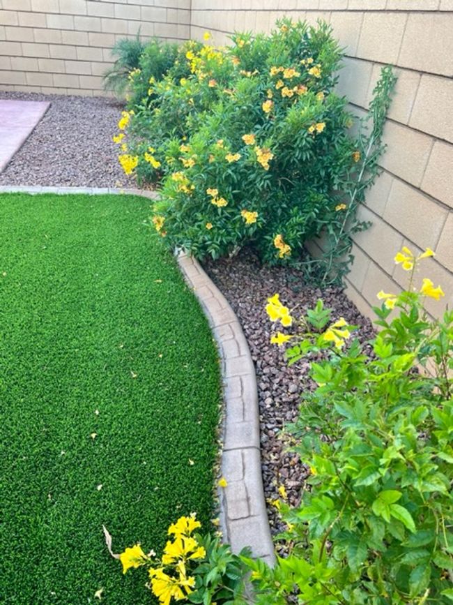 Yard | Image 60