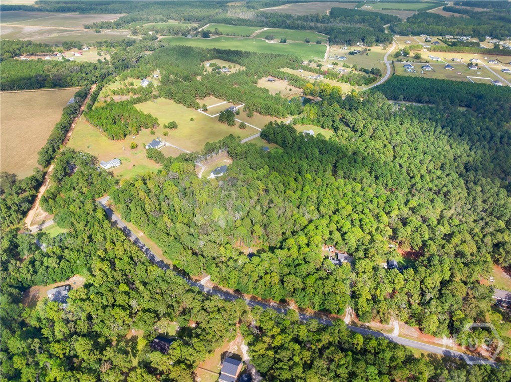 Land in Statesboro 4