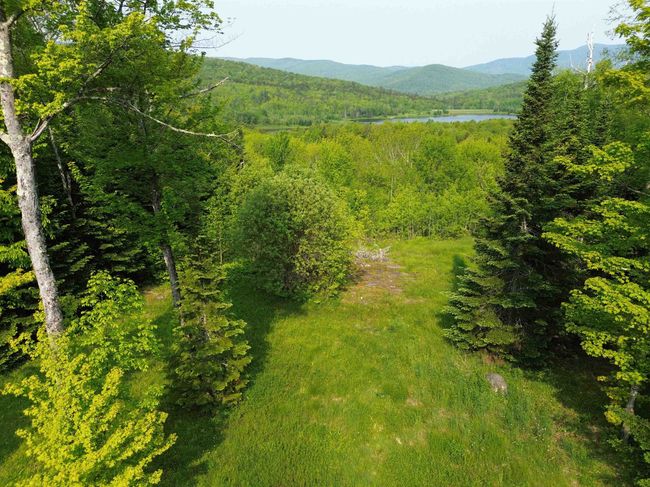 Trim left side for more open view to the Green Mtns | Image 10