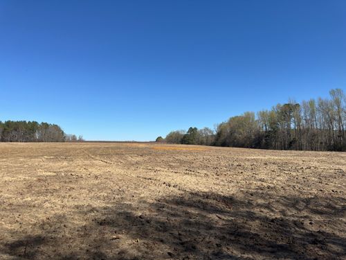 50-acres-Tbd Buttercup Drive, Ward, SC, 29166 | Card Image