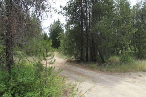 93 Buck Creek Rd, Newport, WA, 99156-9337 | Card Image