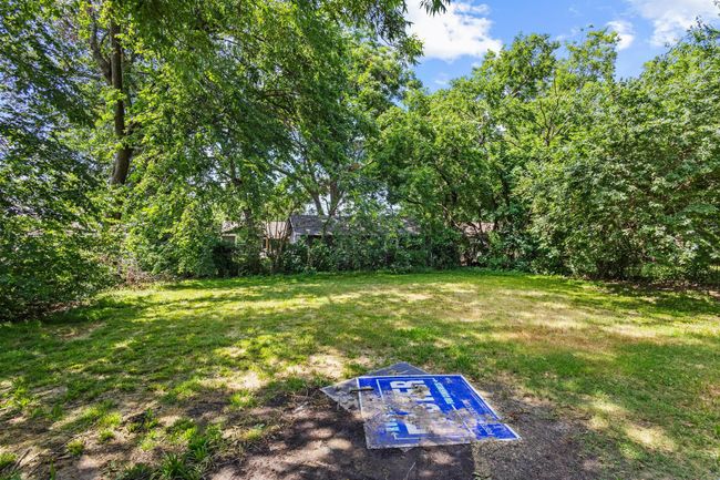 View of green lawn | Image 5