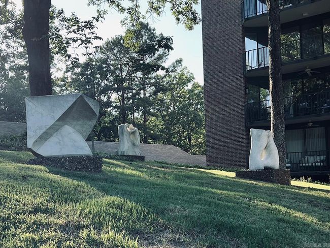 APT-203 - 1 Treetops Ln, Home with 2 bedrooms, 2 bathrooms and null parking in Little Rock AR | Image 20