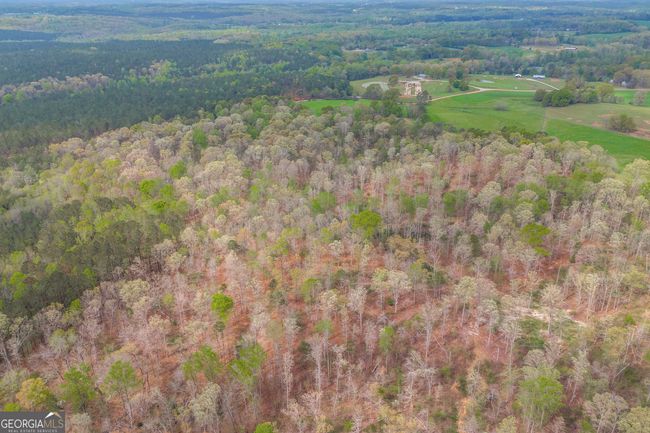 0 Carey Ford Rd, Home with 0 bedrooms, 0 bathrooms and null parking in Danielsville GA | Image 21