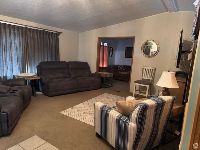 Carpeted living area with lofted ceiling and a textured ceiling | Image 11