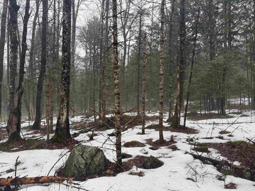 3826 Leighton Hill Rd, Wells River, VT, 05081 | Card Image