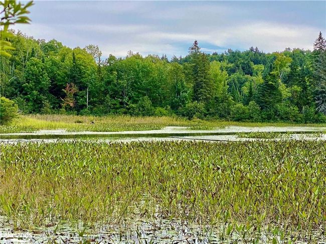 22-A Maple Dr, Home with 0 bedrooms, 0 bathrooms and null parking in Loring ON | Image 18