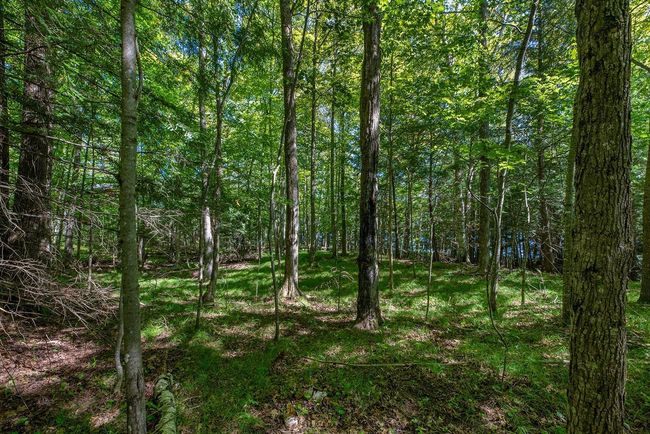 Lot 2 E Amber Lake Rd, Home with 0 bedrooms, 0 bathrooms and null parking in Lac du Flambeau WI | Image 13
