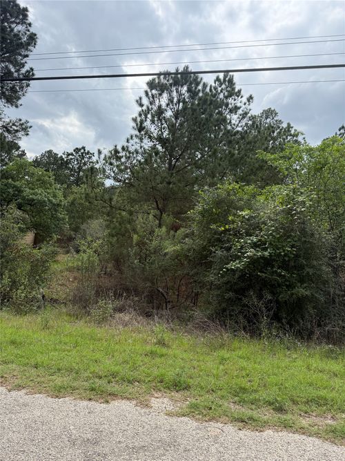 lot 1360 N Kaupo Dr, Bastrop, TX, 78602 | Card Image